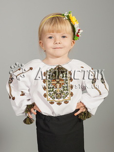 Вишита блуза ЖБВ 20-1