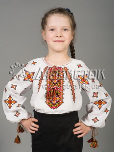 Вишита блуза ЖБВ 33-1