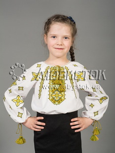 Вишита блуза ЖБВ 33-3