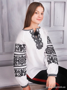 Вишиванка-блуза B-064-01