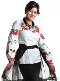 Вишиванка-блуза B-001-01