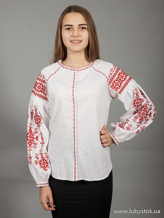 Вишиванка-блуза B-024-06