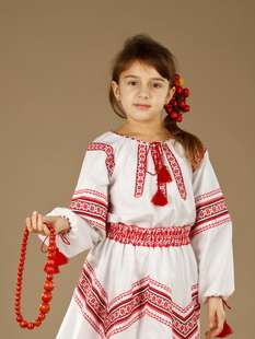 Вишита блуза ЖБ 88-17