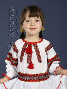 Вишита блуза ЖБ 88-44