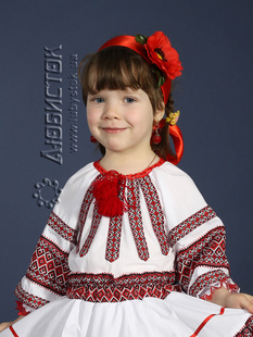 Вишита блуза ЖБ 66-64